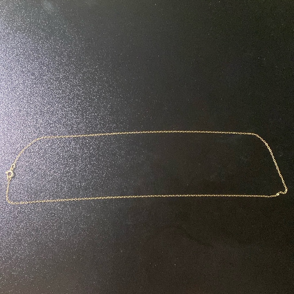 18” 10K Gold Chain.